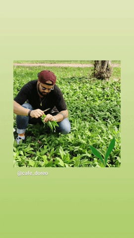 Café-Doreo GIF