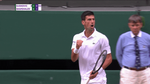 Celebrate Novak Djokovic GIF by Wimbledon - Find & Share on GIPHY