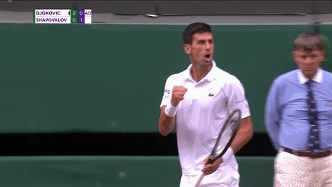 Celebrate Novak Djokovic GIF