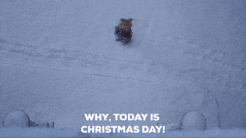 Christmas Day GIF
