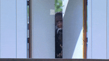 Sport Baseball GIF by MLB
