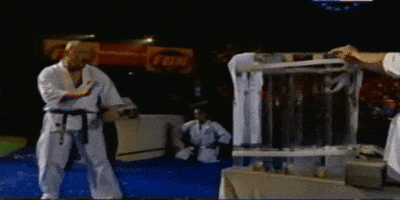Karate GIF