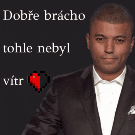 Broken Heart Czech GIF