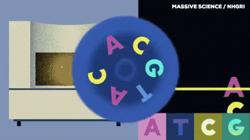 Dna Sequence GIF by Massive Science