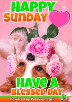 Henlo Hooman Fren GIF by PetJuvenate - PJ