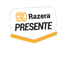 RazeraRS Sticker