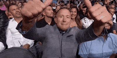 georgesrushstpierre nice ufc perfect punch GIF