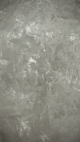 GIF by Primal Palate