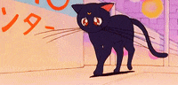 Luna And Artemis Gifs Get The Best Gif On Giphy