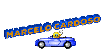 Carro Sticker by renatoveiculos