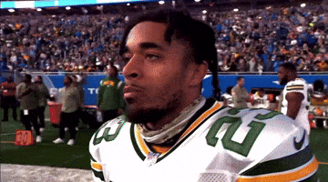 Green Bay Packers GIF