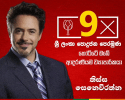 Tony Stark Sl GIF