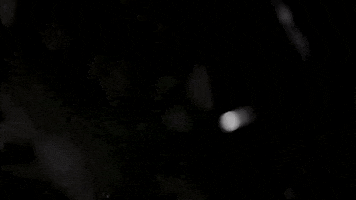 kpetersen empty lungs GIF