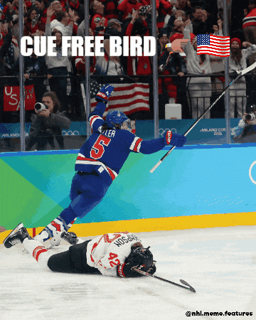 Usa Womenshockey GIF