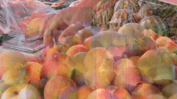 Art Video GIF by jorgemariozuleta