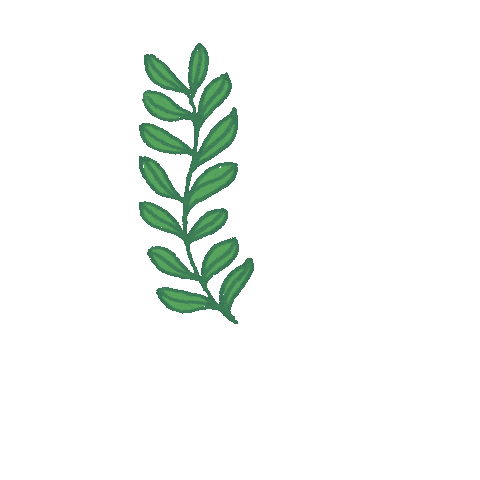 Animated Sticker