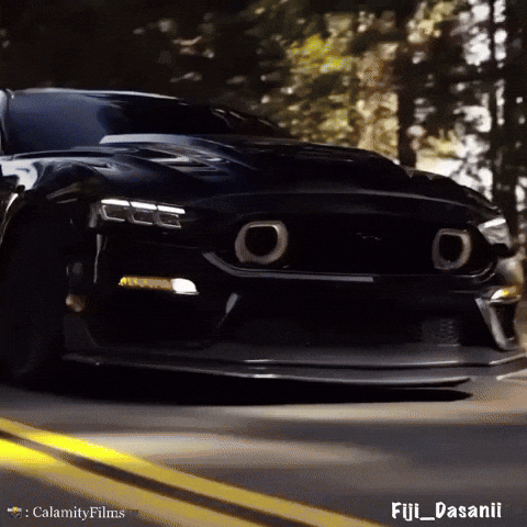 Mustang GIF