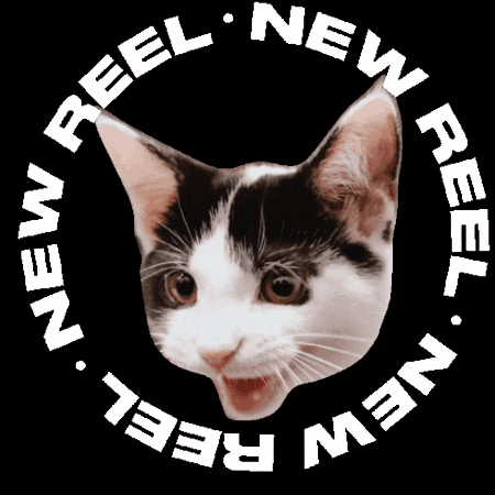 Mylesandspot GIF