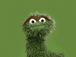 Look There This Way GIF by Sesame Street