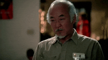 skarpathio mr miyagi karate kid 3 GIF