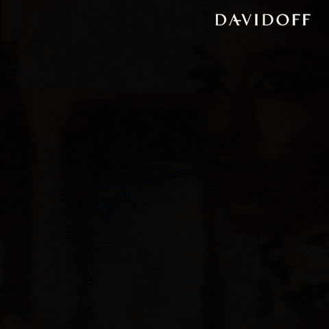 Fragrance Charlesmelton GIF by Davidoff Parfums