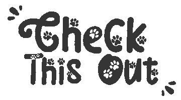 Text Check This Out Sticker by Barkk