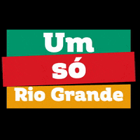 Um Só Rio Grande GIF by Eduardo Leite