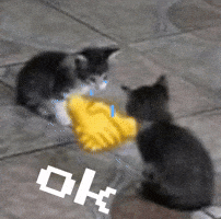Ok GIF