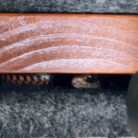 Venomous Snake Car GIF by Storyful