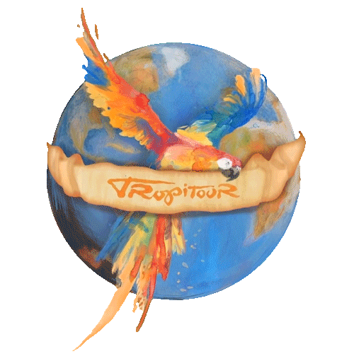 Sticker by Karol G