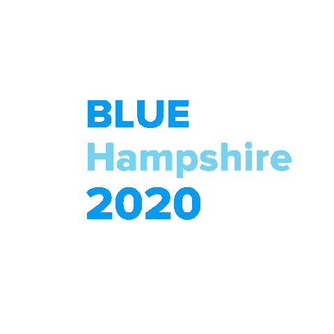 New Hampshire Democratic Party Sticker