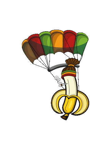 BDTI Freefly Sticker