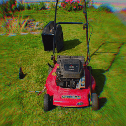 Plants Vs Zombies GIF