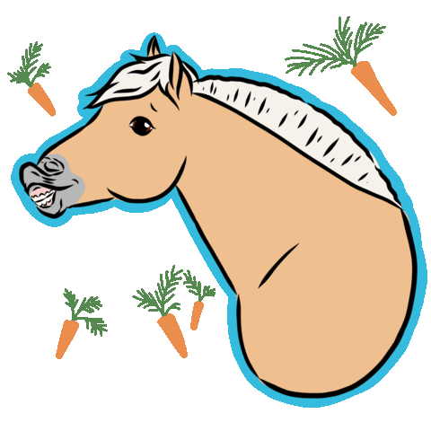 Paard Sticker