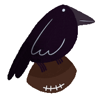 Baltimore Ravens Football Sticker