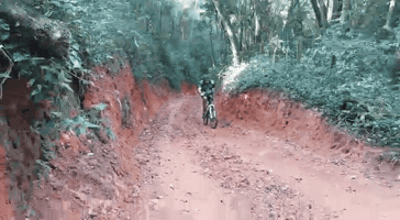 Vida Adaptada GIF