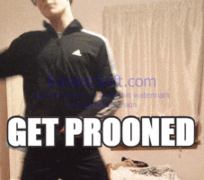 castle  GIF