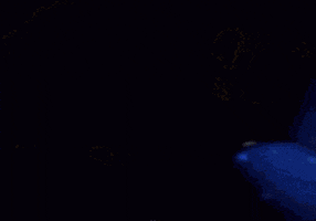 Baltika GIF