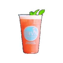 Erva Brew Co. Sticker