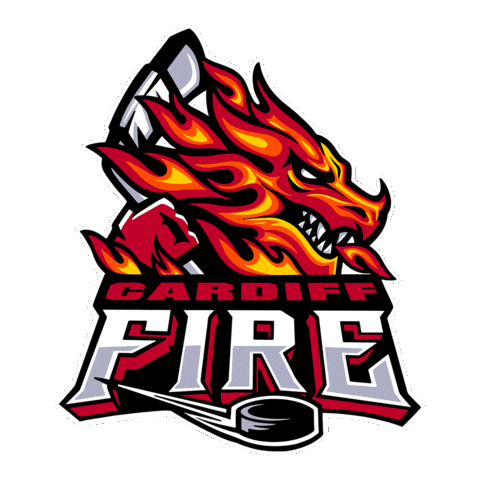Fire Hockey Sticker by Cardiff Fire