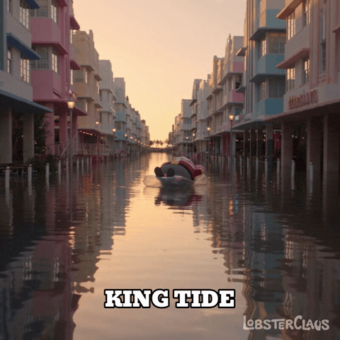 Miami Beach GIF by LobsterClaus
