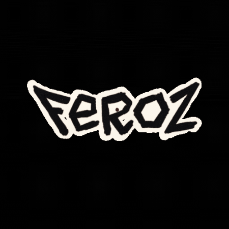 Feroz GIF by zapatoferoz