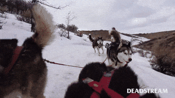 Stunt GIF by Deadstream