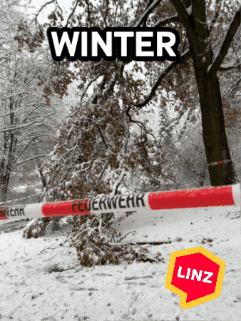 Winter Wow GIF by Linz News
