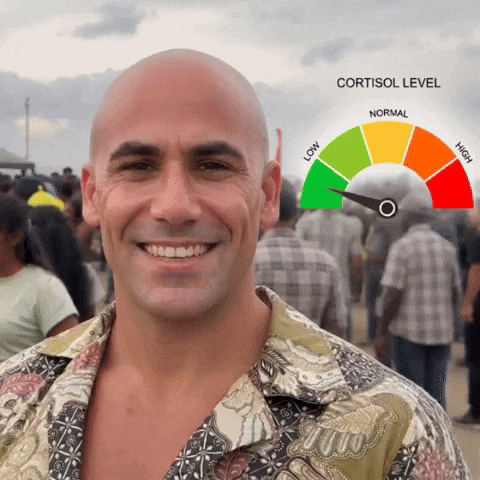 Cortisol Viajem GIF