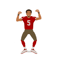 Dust Off San Francisco 49Ers GIF by SportsManias