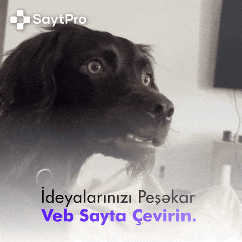 Saytpro GIF