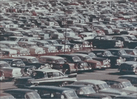 Shopping Mall Vintage GIF by US National Archives