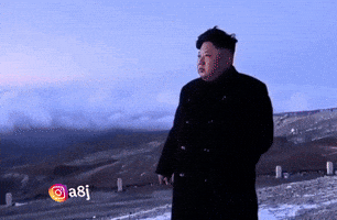 Kim Jong-Un Korea GIF