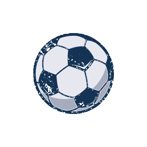 World Cup Soccer Sticker by DANA Senioreneinrichtungen